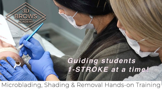 3D Brows Combined Course